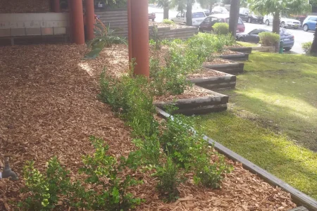 Garden Maintenance image