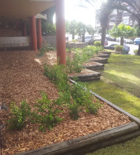 Garden Maintenance image