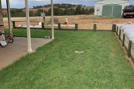 20190207_062104092_iOS (1) (1)