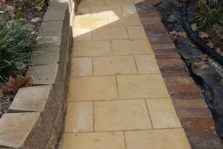 20200819_014237262_iOS