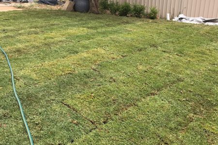 20210306_211146804_iOS (1)