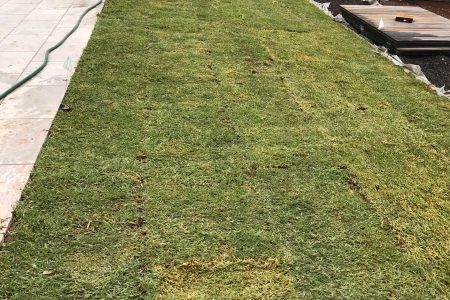 20210306_213611637_iOS