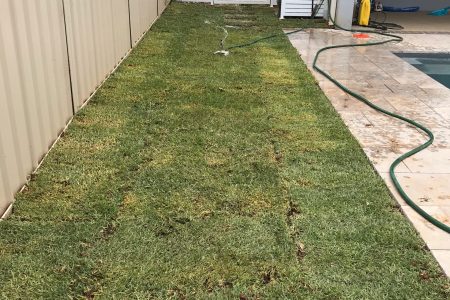 20210306_213706763_iOS