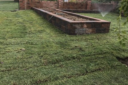 20210316_032521502_iOS