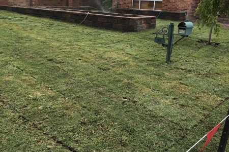 20210316_032534081_iOS