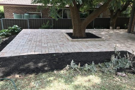 20220323_023215460_iOS