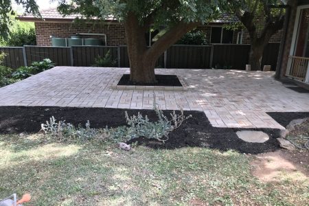 20220323_023340511_iOS