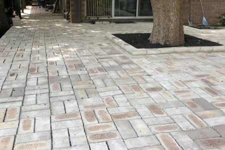 20220323_023458015_iOS