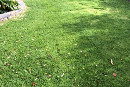 20221018_214726966_iOS (1)