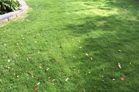 20221018_214726966_iOS (1)